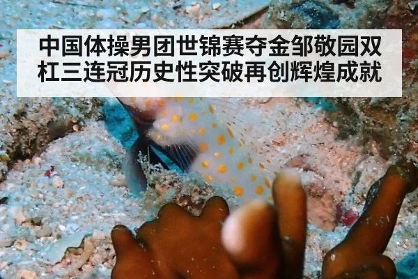 中国体操男团世锦赛夺金邹敬园双杠三连冠历史性突破再创辉煌成就