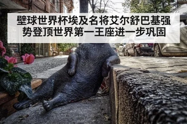 壁球世界杯埃及名将艾尔舒巴基强势登顶世界第一王座进一步巩固